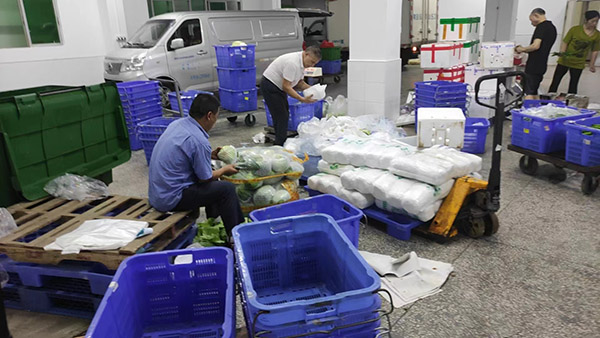 碳中和燃油 碳中和燃油