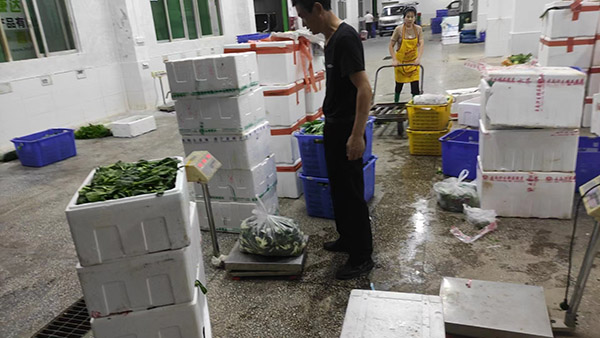 渝中区十环认证在哪里查询 渝中区十环认证在哪里查询